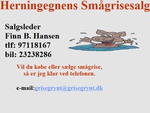 Finn B. Hansen